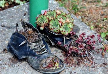 18. ročník súťaže o najkrajší balkón, okno a predzáhradku 18. ročník súťaže o najkrajší balkón, okno a predzáhradku